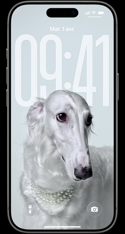 iPhone 17 Pro Max Neuf – 6,9" Super Retina XDR OLED, 12 Go RAM, Jusqu’à 2 To, Triple 48MP + Batterie 4832 mAh